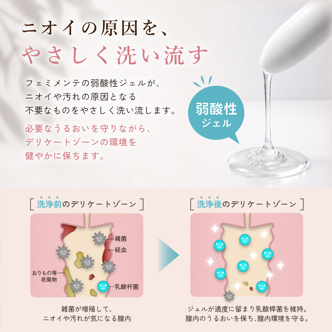 デリケートケアウオッシュ 【膣洗浄器】 6本入（10本入の定期購入なら